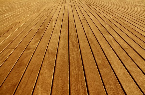 Staining Services