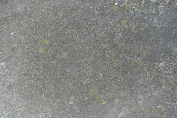 Slab Staining Service